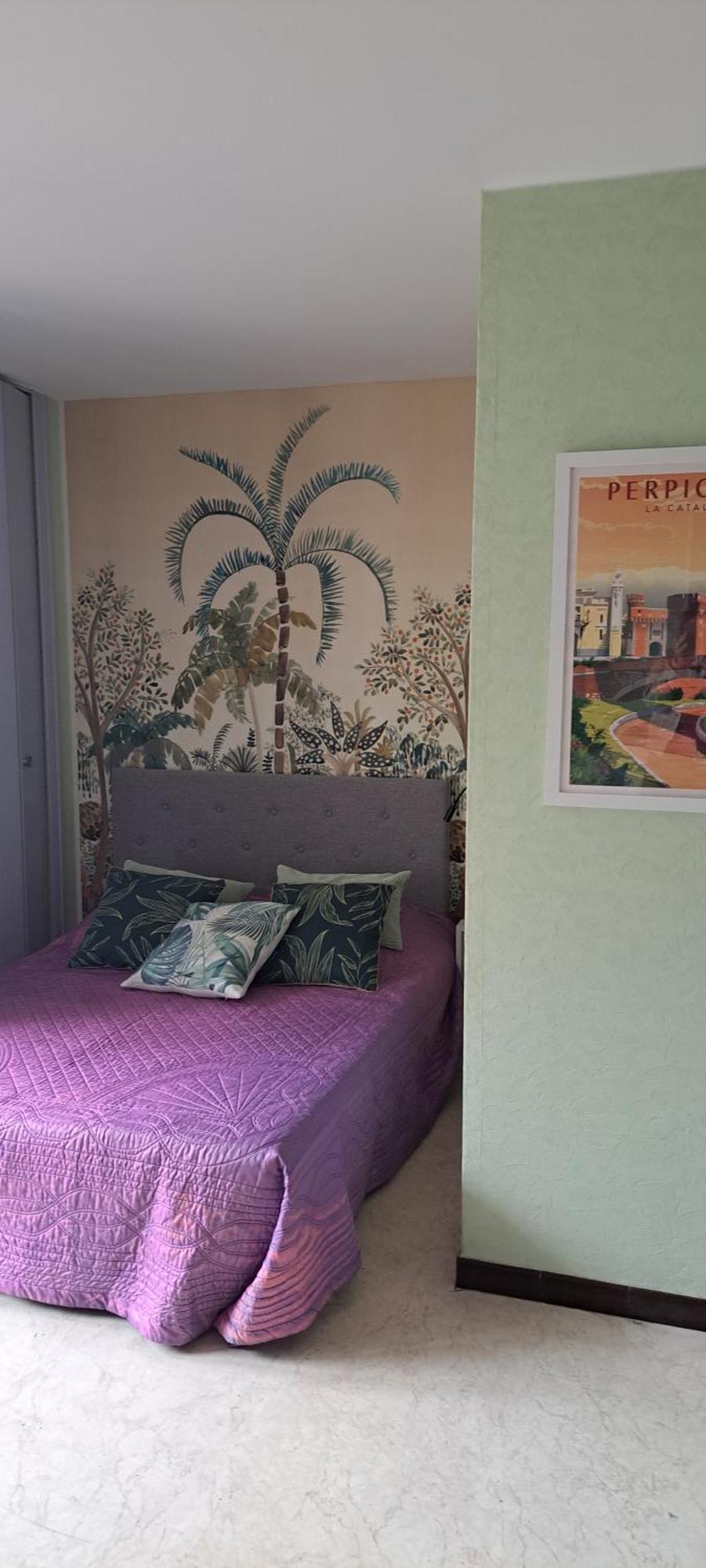 Studio Phannie Renove 50M Cures Amélie-les-Bains-Palalda Exteriér fotografie